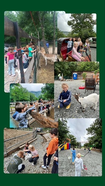 Izlet u Drivenik – Alpaka Ranch