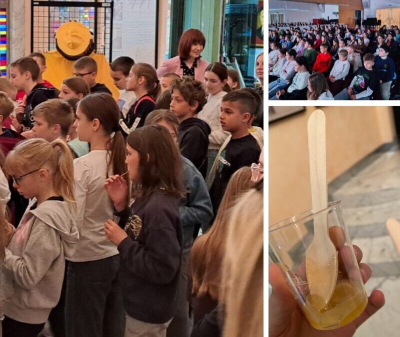 Winnie Pooh i med u Čitaonici